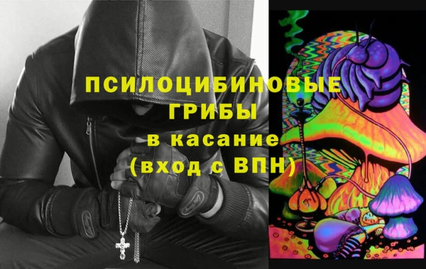 соль ск Кодинск