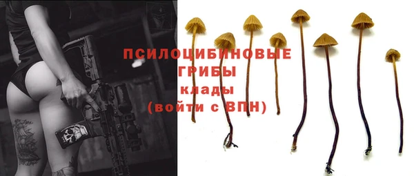 амфетамин Козловка