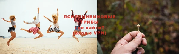 соль ск Кодинск
