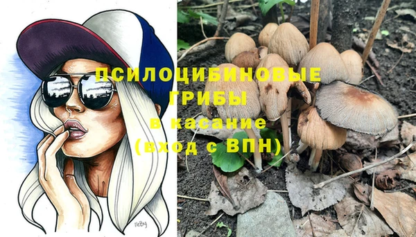 соль ск Кодинск