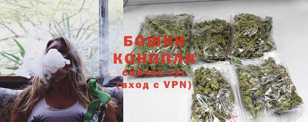 соль ск Кодинск