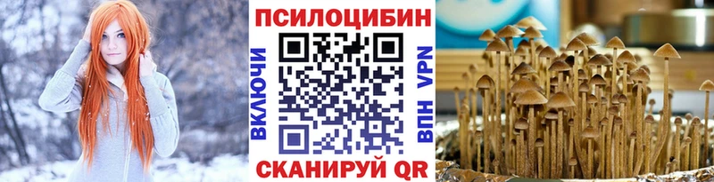 Псилоцибиновые грибы мицелий  Купить  Старица 