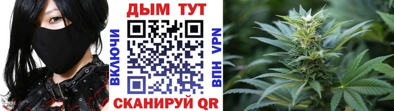 Купить  Старица  Конопля Amnesia 